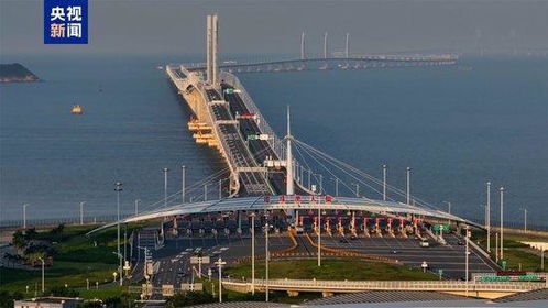 珠港澳大桥汽车多少